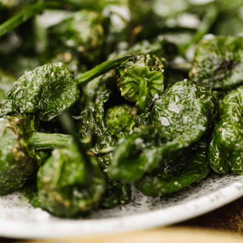 A close-up of blistered green padron peppers sprinkled with coarse salt, served on a white plate.